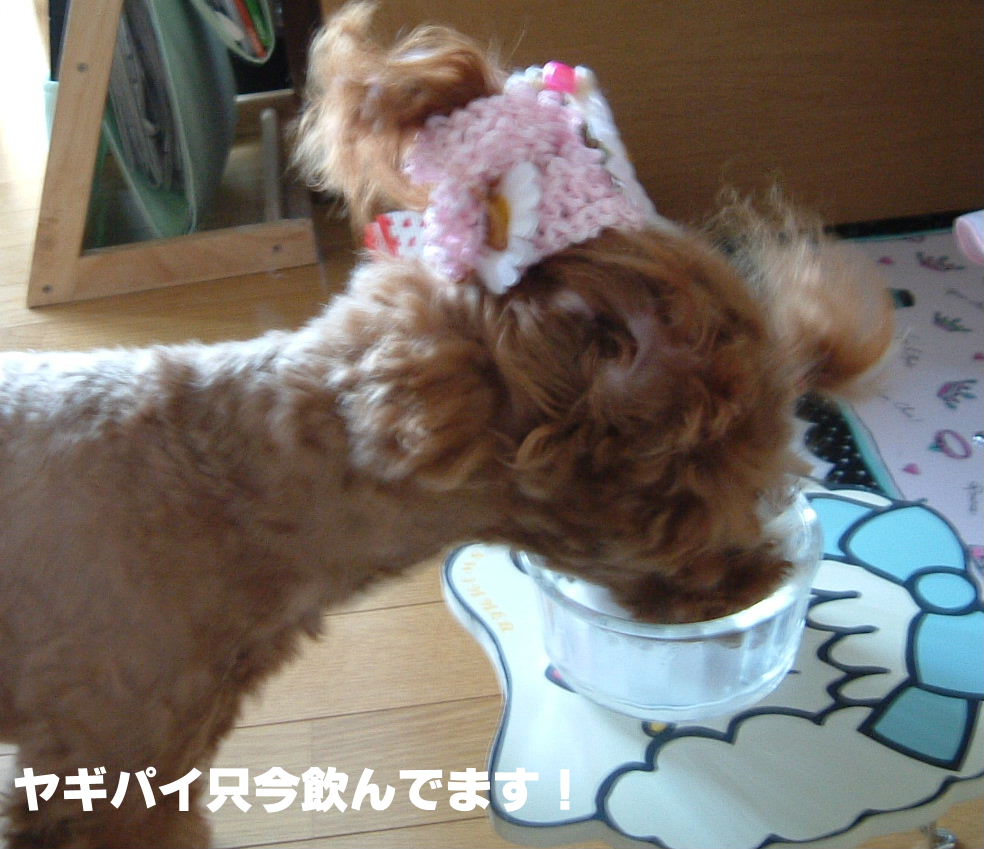 c0114128_8592540.jpg