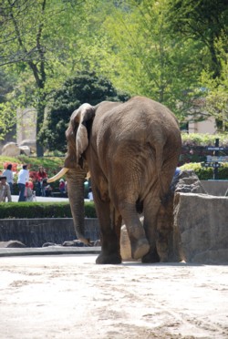 動物園へ_d0105830_21483291.jpg