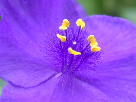 c0025140_1551390.jpg