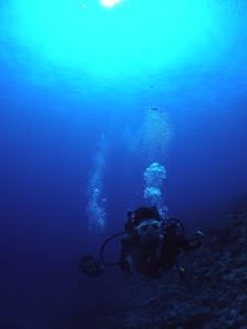 最高の天気！最高の海況！！_d0065247_1948691.jpg