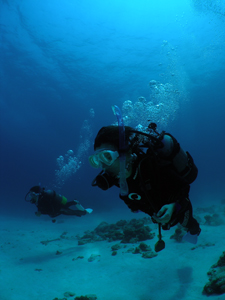 最高の天気！最高の海況！！_d0065247_19491662.jpg