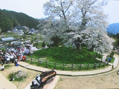 d0031853_16581669.jpg
