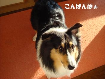 f0046854_2223748.jpg