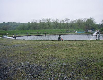 f0073059_3395433.jpg