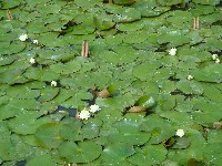 c0108460_1754641.jpg