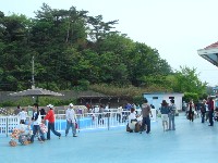 c0108460_19421937.jpg
