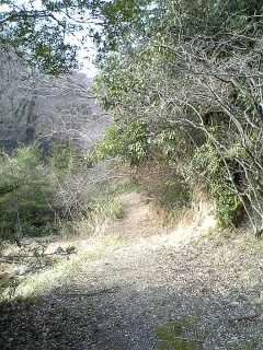 続・知られざる瀬野川緑化公園の世界に迫る？！ _b0095061_7523251.jpg