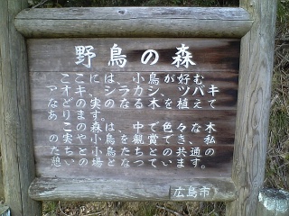b0095061_7524423.jpg