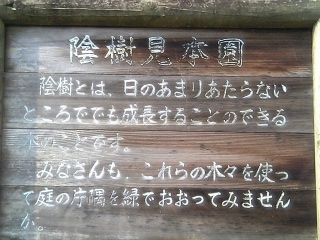 b0095061_7531199.jpg