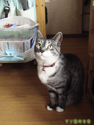 a0001964_2153527.jpg
