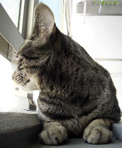 a0001964_2224585.jpg