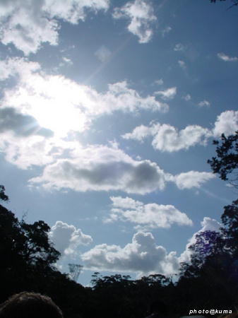 f0050468_04436.jpg