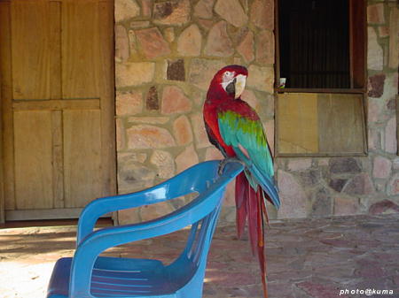 f0050468_08198.jpg