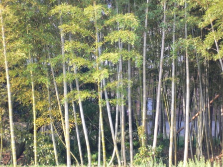 e0009772_21254595.jpg