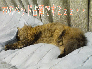f0003173_15174238.gif