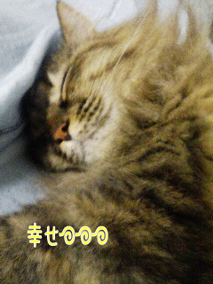 f0003173_15182367.gif