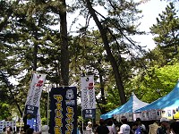 b0004675_1810267.jpg