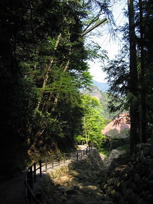 熊野三社との縁・・・熊野神社_c0001578_1374071.jpg