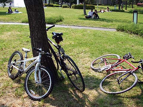 e0034994_22221033.jpg