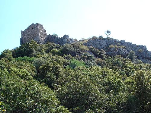 c0010496_20132151.jpg