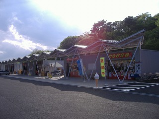 c0107997_8124069.jpg