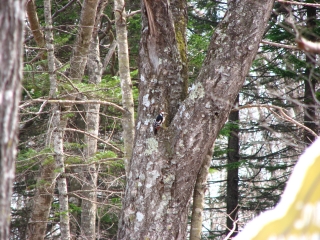 f0020302_21321572.jpg