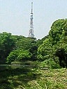 浜離宮恩賜庭園_e0028505_63245.jpg