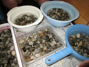 c0060920_23572272.jpg