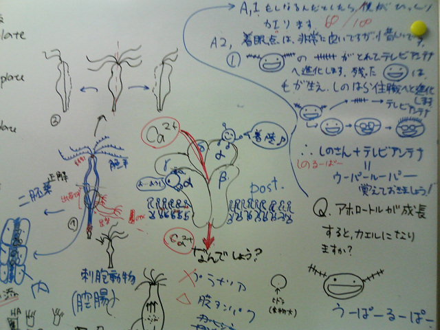 サイエンス・エンジェルイベント@亘理町_d0028322_19373283.jpg