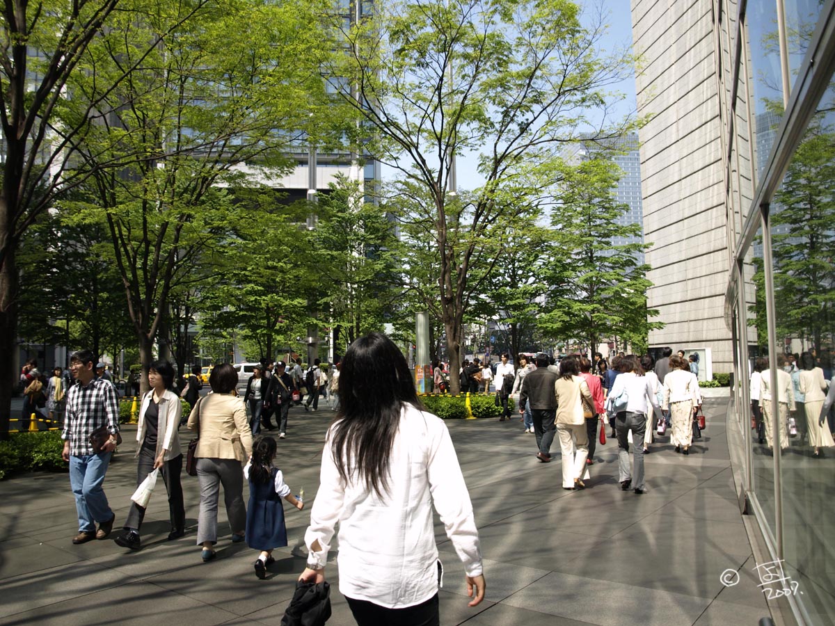blog仕切り直しスタートです。_e0096928_45499.jpg