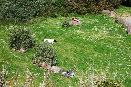 オリヴィエ・ロランジェのビストロの庭　Dans le jardin de ..._f0095128_18435692.jpg