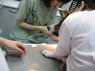 b0086939_0174320.jpg
