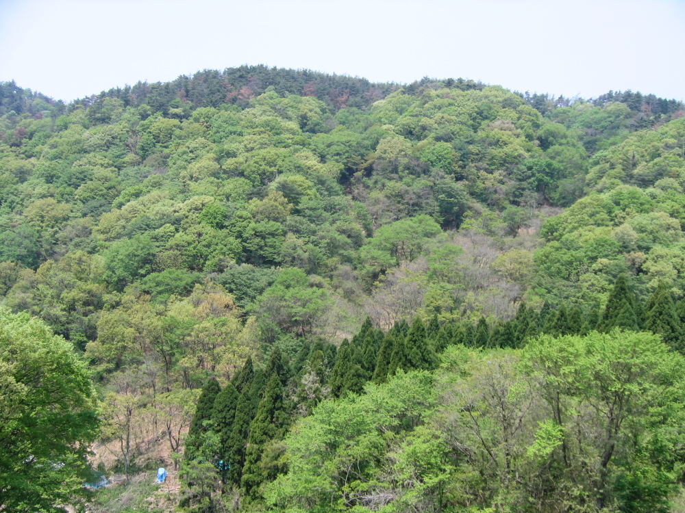 e0049740_1658175.jpg