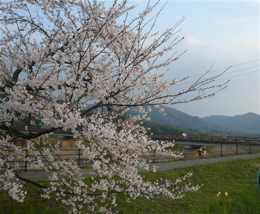 b0072651_0345689.jpg