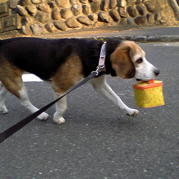 b0005652_1022144.gif
