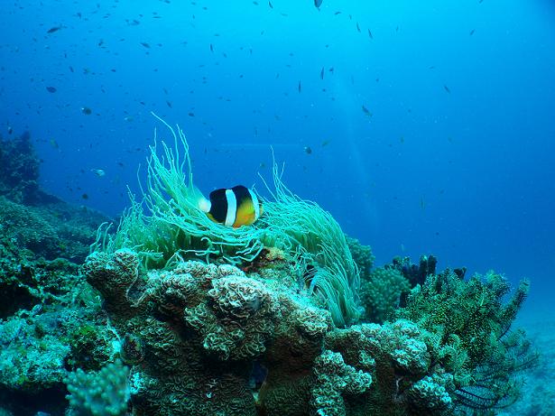 ５月３日 沖縄本島　１日目_c0020054_22544899.jpg