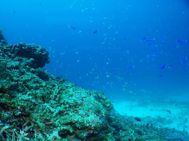 ５月３日 沖縄本島　１日目_c0020054_22565322.jpg