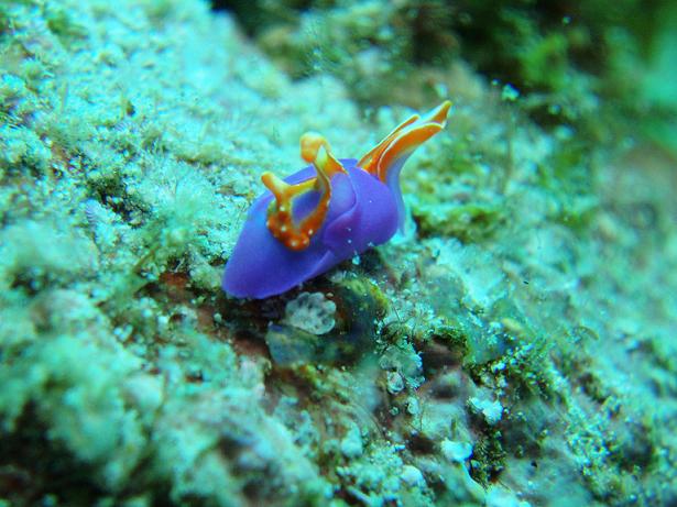 ５月３日 沖縄本島　１日目_c0020054_22581055.jpg