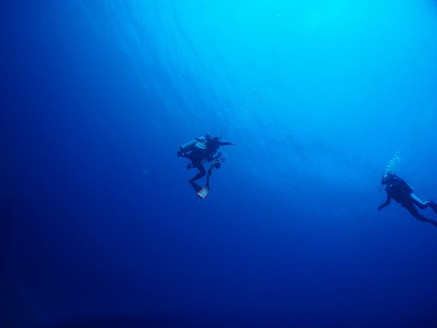 ５月３日 沖縄本島　１日目_c0020054_2316295.jpg