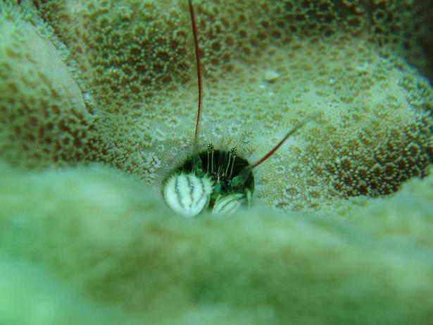 ５月３日 沖縄本島　１日目_c0020054_237287.jpg