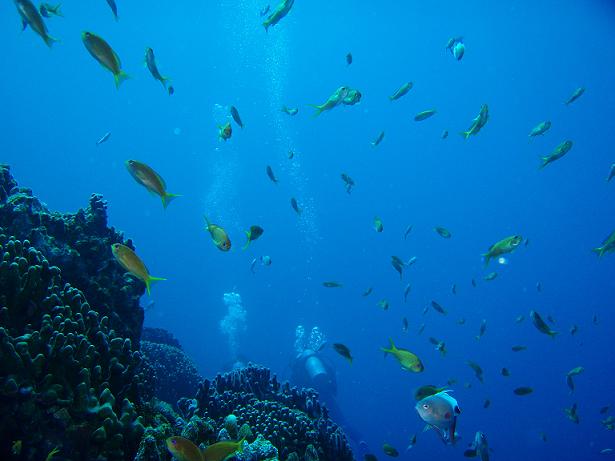 ５月３日 沖縄本島　１日目_c0020054_2384837.jpg