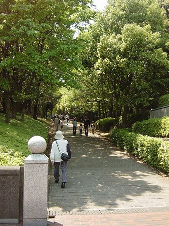 お空はピーカン♪まつり日和*_f0074254_2158224.jpg