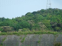 c0108460_21231394.jpg