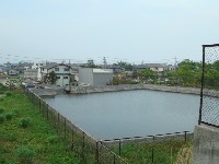 c0108460_2124951.jpg