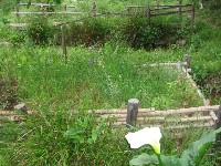 c0108460_21273499.jpg