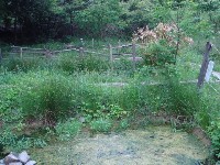c0108460_2128238.jpg