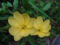 c0108460_21283010.jpg