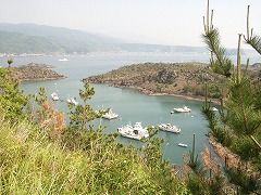 b0061863_9343393.jpg