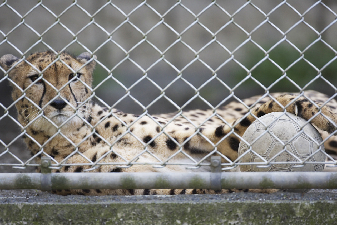 多摩動物公園30_e0060169_6562662.jpg