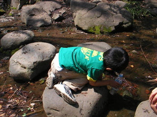 b0109874_86877.jpg